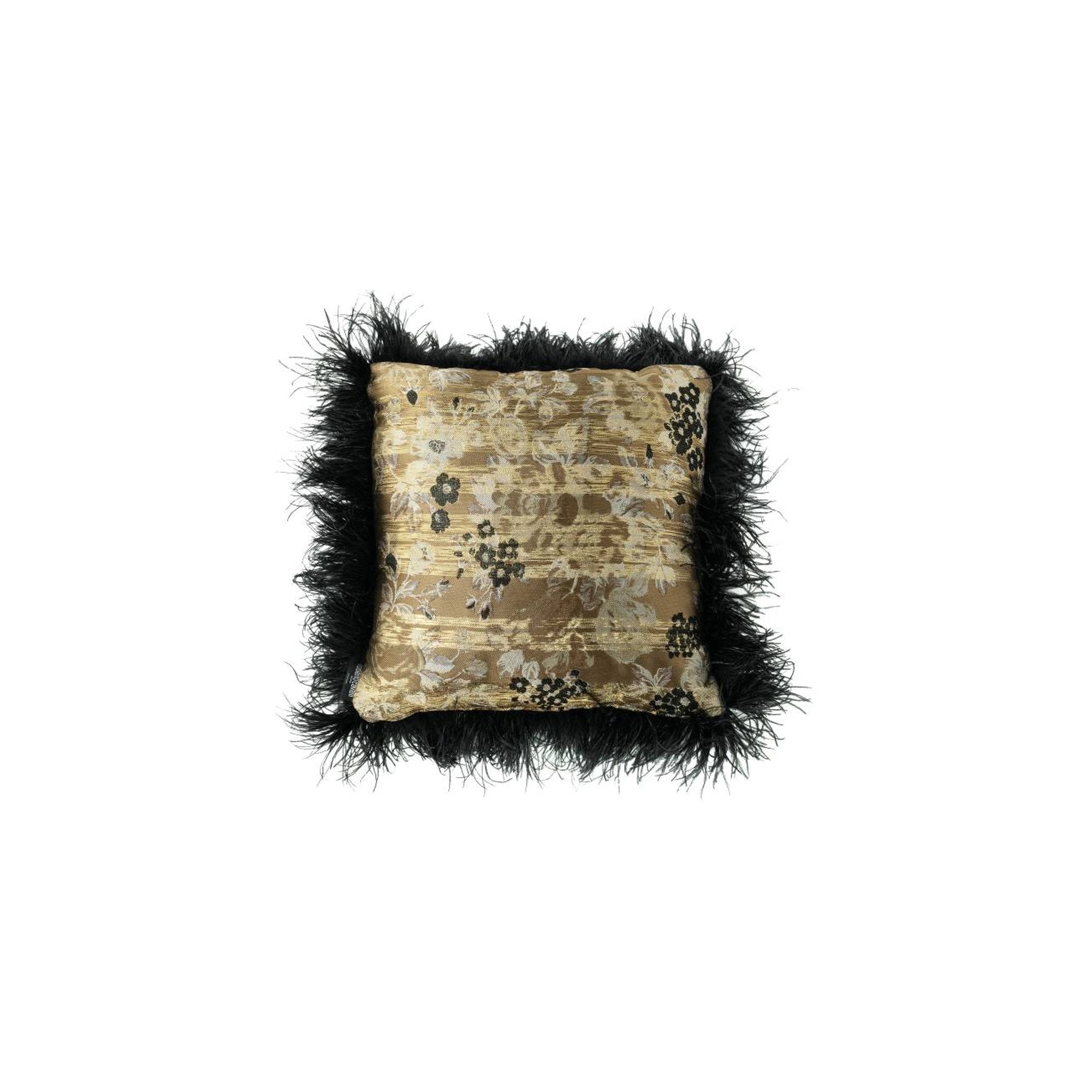 WONDERS OF NATURE - BLACK TIGER